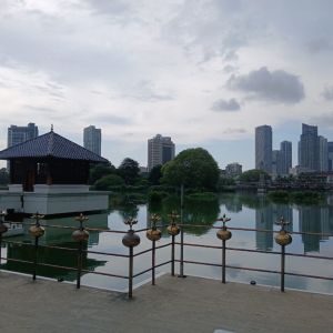 IMG-20241110-WA0029