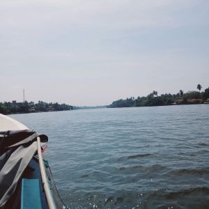 IMG-20241204-WA0015
