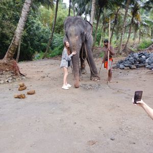 IMG-20241230-WA0019